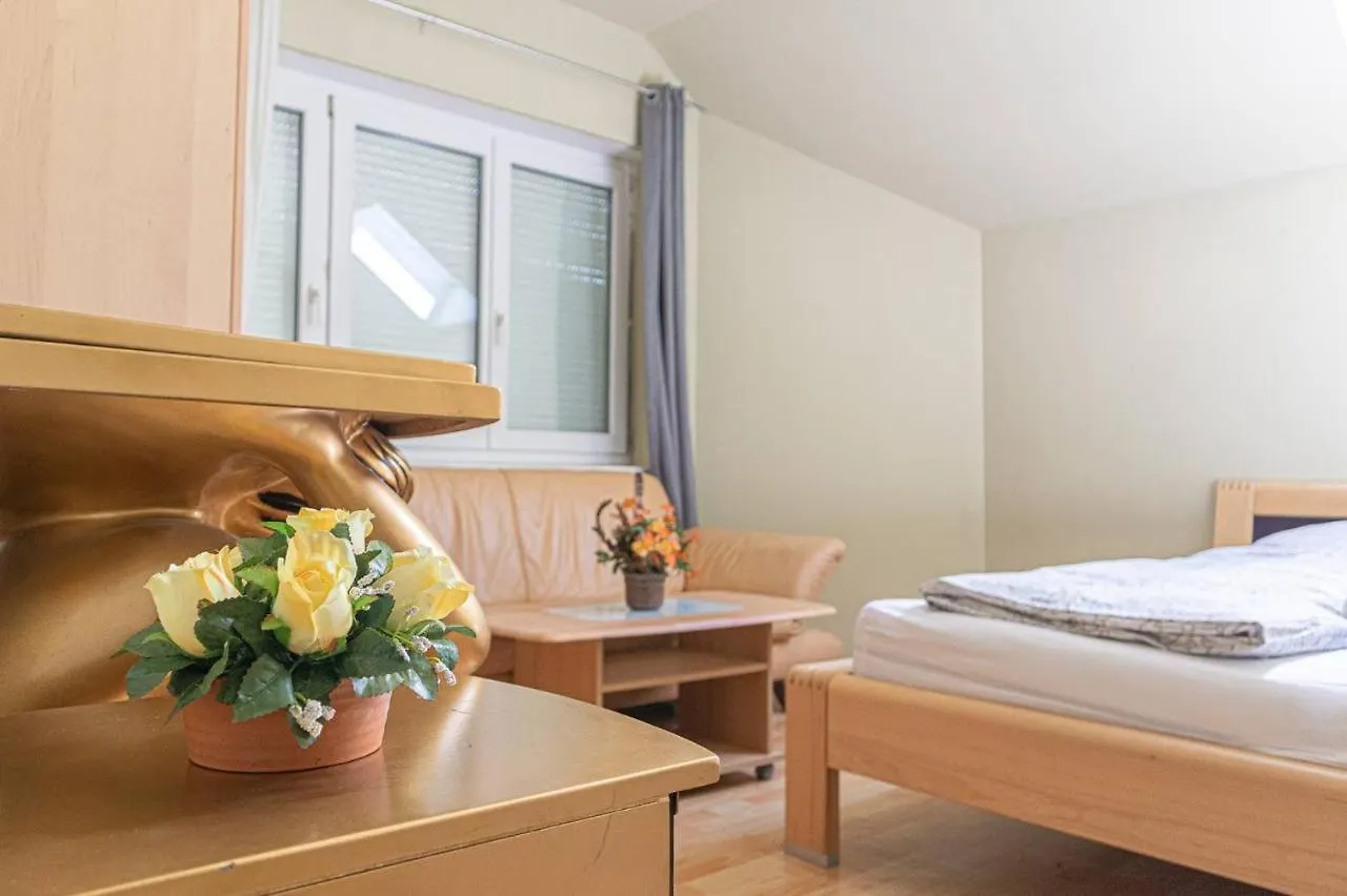 Comfortable Rooms In A Beautiful House Gd Vídeň 0*,